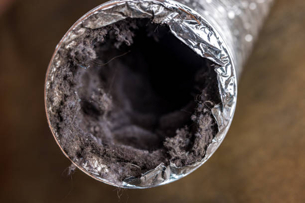 Best Air Duct Cleaning Near Me  in Hollywood, FL